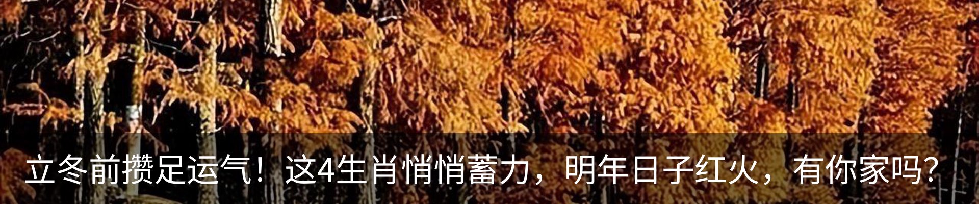 热点资讯