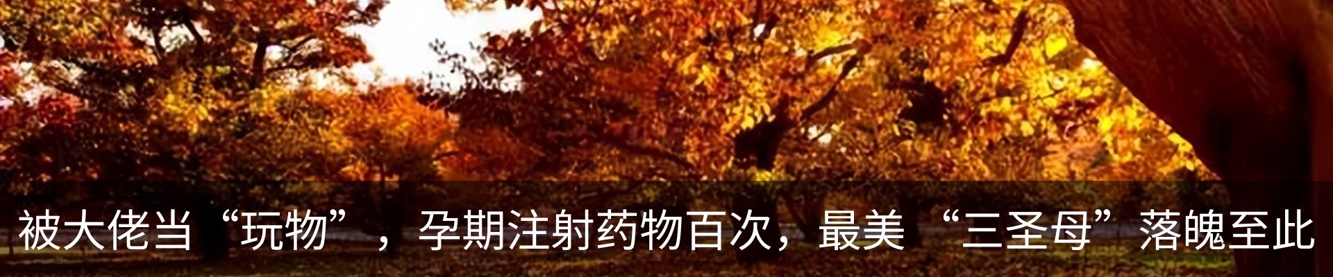 热点资讯