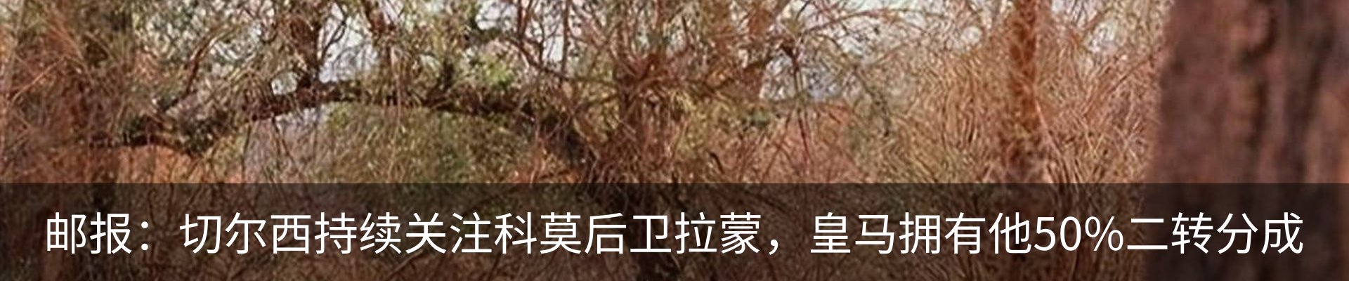 热点资讯
