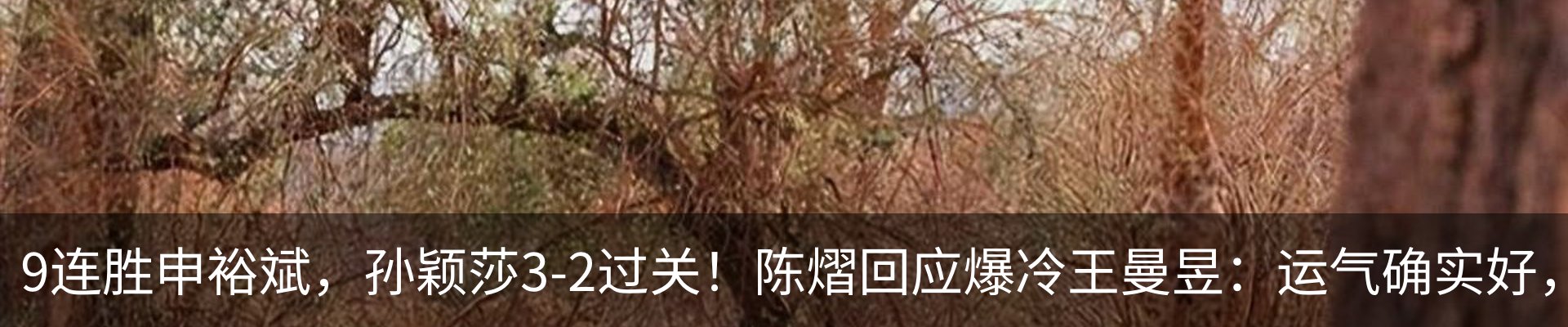热点资讯